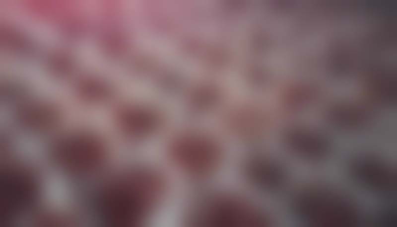 The Legal and Ethical Implications of Gene Editing in the Food Industry