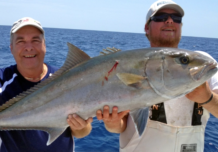 Amberjack fish
