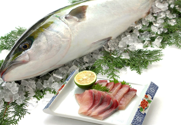Buri fish
