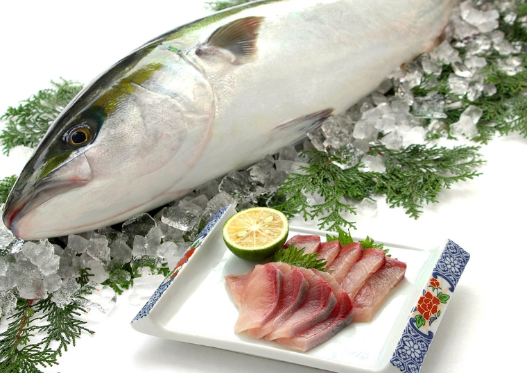 What does buri fish taste like?