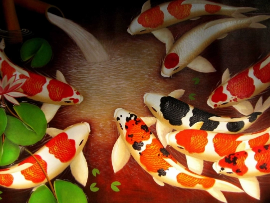 how to choose fish for sushi