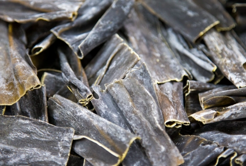 kombu seaweed