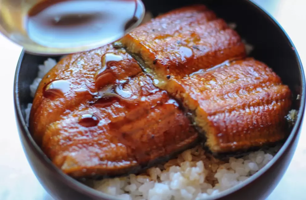 unagi don
