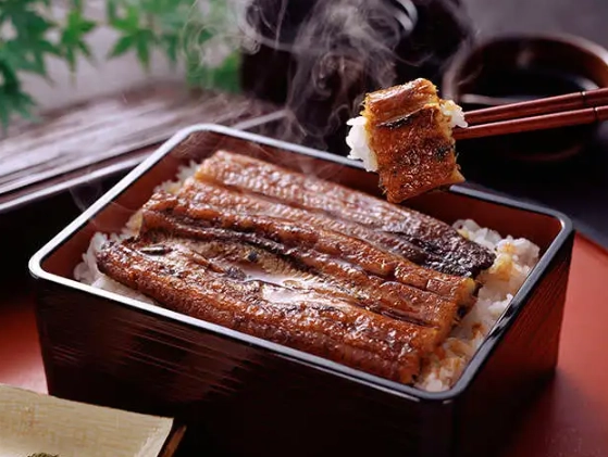 grilled eel