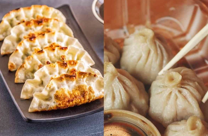 what is gyoza what is gyoza