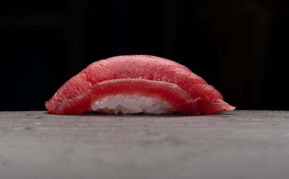 tuna sushi mercury tuna sushi mercury