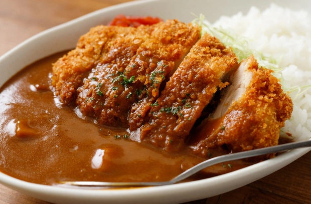Japanese curry vs Indian curry
