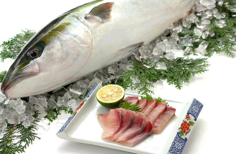 yellowtail size chart