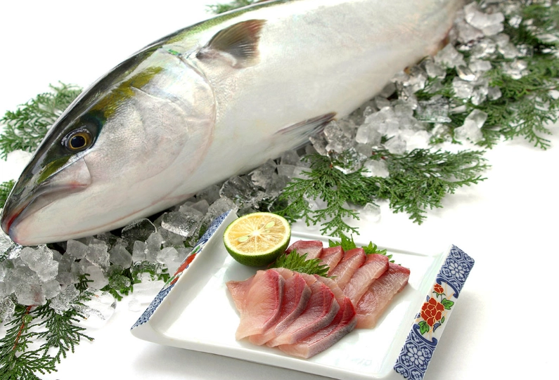 Is buri fish healthy?