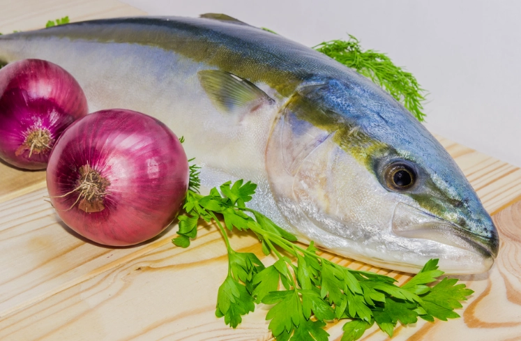 Yellowtail nutrition