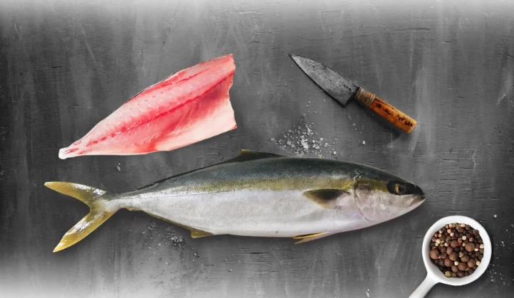 Yellowtail nutrition