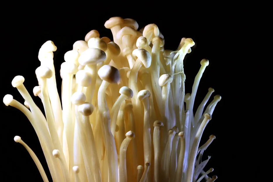 how to cook enoki mushroom