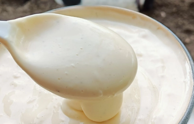 kewpie mayonnaise recipe