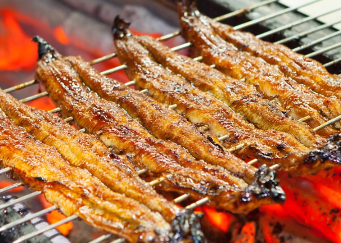 best grilled eel