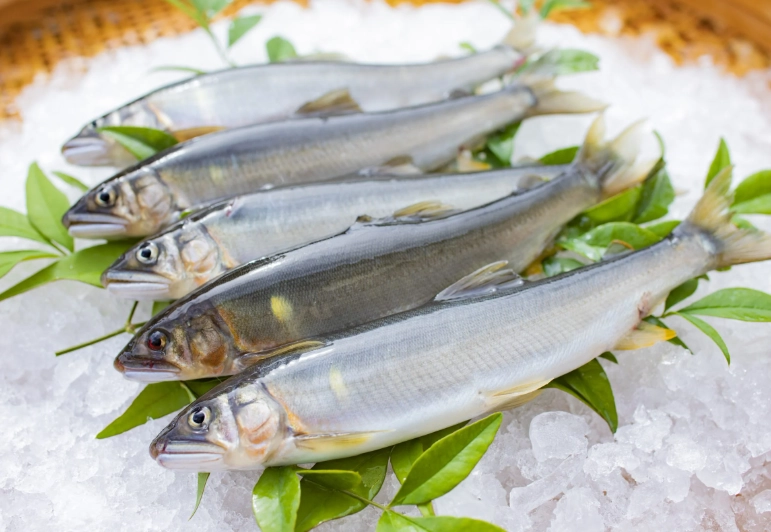 grilled ayu recipe grilled ayu recipe