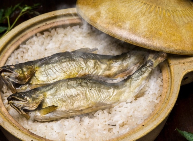 ayu fishing Japan ayu fishing Japan