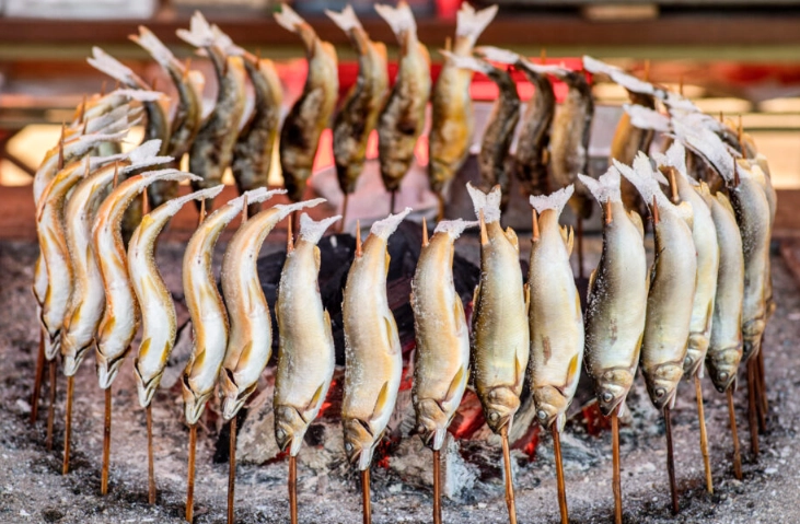 ayu fishing Japan ayu fishing Japan