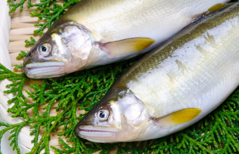 grilled ayu recipe grilled ayu recipe