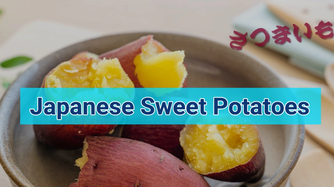 Japanese sweet potato