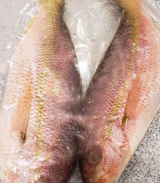 Can yellowtail be eaten raw?