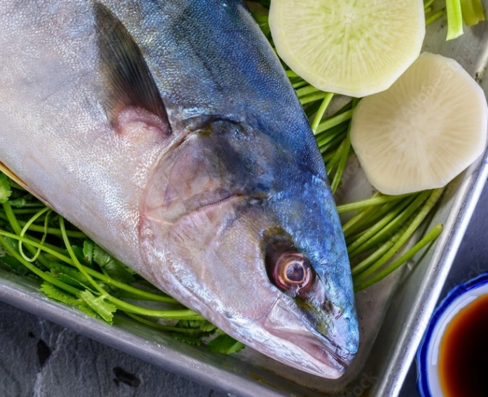 is yellowtail safe to eat raw is yellowtail safe to eat raw