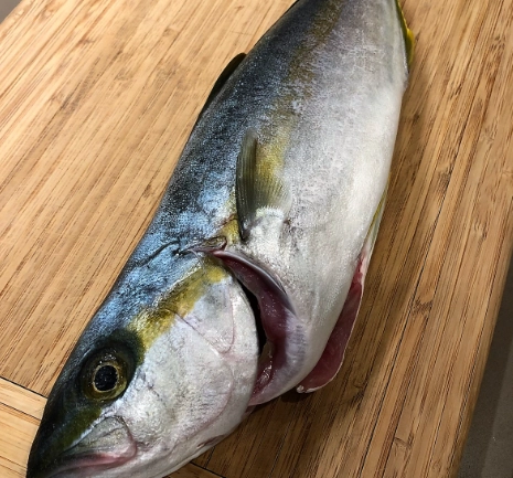 hamachi raw hamachi raw