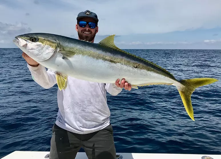 is yellowtail a tuna is yellowtail a tuna